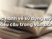 Soạn bài: Thực hành về sử dụng một số kiểu câu trong văn bản trang 194 SGK Ngữ văn 11 tập 1