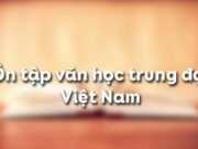 Soạn bài Ôn tập văn học trung đại Việt Nam Văn 11: Nội dung yêu nước trong văn học giai đoạn này có biểu hiện gì mới?