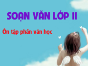 Ôn tập phần văn học trang 202 SGK Văn 11: Sự khác nhau giữa tiểu thuyết hiện đại và trung đại đó là