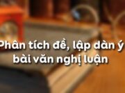 Soạn bài Phân tích đề, lập dàn ý bài văn nghị luận Văn 11: Tâm sự của Hồ Xuân Hương trong bài thơ “Tự tình”?