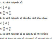 Bài 1, 2, 3, 4, 5 trang 30, 31 VBT Toán lớp 4 tập 2: Viết các phân số 8/9 ; 4/9 ; 7/9 theo thứ tự từ bé đến lớn