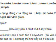 Câu 2 Unit 2 Trang 16 SBT Anh lớp 9: My bicycle isn’t here anymore. Somebody_________ (take) it