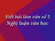 Soạn bài Viết bài làm văn số 3 – Nghị luận văn học Văn 11: So sánh tài sắc của Thuý Vân và Thuý Kiều được thể hiện qua đoạn trích