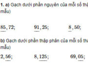 Bài 1, 2, 3, 4 trang 45 Vở bài tập Toán lớp 5 tập 1: Chuyển số thập phân thành phân số thập phân