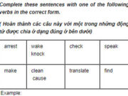 Câu 5 Unit 2 Trang 19 SBT TIếng Anh 9: Police are looking for the missing boy. He can’t_______ anywhere