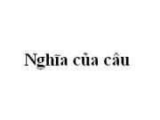 Bài Nghĩa của câu (tiếp theo) trang 18 Văn 11: Các từ ngữ thể hiện nghĩa tình thái trong các câu