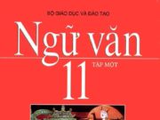 Soạn bài Văn bản Văn 10: Mỗi văn bản trên được người nói (người viết) tạo ra trong loại hoạt động nào?