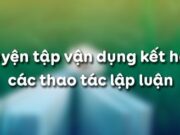 Soạn bài Luyện tập vận dụng kết hợp các thao tác lập luận phân tích và so sánh Văn 11: Đoạn trích trên sử dụng những thao tác lập luận nào?