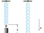 Bài 9.5, 9.6, 9.7, 9.8 trang 32 SBT Lý 6: Lực mà lò xo tác dụng vào quả nặng là lực gì?