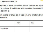 Language focus – Unit 1 trang 6 Sách BT Anh lớp 10: Supply the correct form of the verbs in brackets.