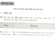 Tập làm văn : Cấu tạo bài văn miêu tả cây cối trang 17 SBT Tiếng Việt lớp 4 tập 2: Viết dàn ý miêu tả một cây ăn quả mà em biết theo một trong hai cách đã học