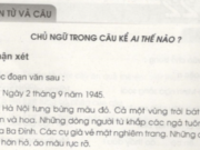 Luyện từ và câu : Chủ ngữ trong câu kể Ai thế nào ? trang 20 VBT Tiếng Việt lớp 4 tập 2:  Viết một đoạn văn khoảng năm câu về một loại trái cây mà em thích, trong đoạn văn có dùng một số câu kể Ai thế nào?