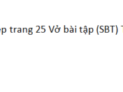 Mở rộng vốn từ : Mở rộng vốn từ cái đẹp trang 25 Vở bài tập Tiếng Việt lớp 4 tập 2: Điền thành ngữ hoặc cụm từ (đẹp người, đẹp nết – mặt tươi như hoa – chữ như gà bới) vào chỗ trống thích hợp