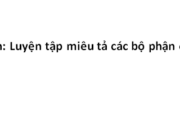 Tập làm văn : Luyện tập miêu tả các bộ phận của cây cối trang 30 VBT Tiếng Việt lớp 4 tập 2: Viết một đoạn văn tả một loài hoa hoặc một thứ quả mà em ưa thích