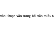 Tập làm văn : Đoạn văn trong bài văn miêu tả cây cối trang 32 Vở bài tập Tiếng Việt lớp 4 tập 2: Hãy viết một đoạn văn nói về lợi ích của một loài cây mà em biết