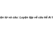 Luyện từ và câu : Luyện tập về câu kể Ai là gì ? trang 48 Vở bài tập Tiếng Việt lớp 4 tập 2: Có lần, em cùng một số bạn trong lớp đến thăm bạn Hà bị ốm. Em giới thiệu với bố mẹ bạn Hà từng người trong nhóm. Hãy viết một đoạn văn ngắn kể lại chuyện đó, trong đoạn văn có sử dụng câu kể Ai là gì