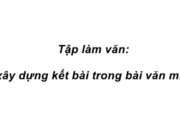 Tập làm văn : Luyện tập xây dựng kết bài trong bài văn miêu tả cây cối trang 49 VBT Tiếng Việt lớp 4 tập 2: Quan sát một cây mà em yêu thích: Em yêu thích, gắn bó với cây như thế nào? Em có cảm nghĩ gì về cây