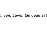 Tập làm văn : Luyện tập quan sát con vật trang 81 VBT Tiếng Việt lớp 4 tập 2: Quan sát và miêu tả các hoạt động thường xuyên của con mèo (hoặc con chó) nói trên