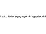 Tập làm văn : Luyện tập xây dựng mở bài, kết bài trong bài văn miêu tả con vật – trang 96 VBT Tiếng Việt lớp 4 tập 2: Viết đoạn kết bài cho bài văn tả con vật em vừa làm trong tiết tập làm văn trước theo cách kết bài mở rộng 