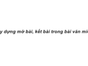 Luyện từ và câu : Thêm trạng ngữ chỉ nguyên nhân cho câu trang 96 VBT Tiếng Việt lớp 4 tập 2: Điền các từ nhờ, vì hoặc tại vì vào chỗ trống: Vì học giỏi, Nam được cô giáo khen