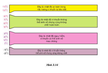 Bài 16. Vệ sinh an toàn thực phẩm – Công Nghệ lớp 6: Muốn đảo bảo an toàn thực phẩm ,cần lưu ý những yếu tố nào ?