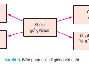 Bài 33. Một số phương pháp chọn lọc và quản lý giống vật nuôi – Công nghệ lớp 7: Theo em, muốn quản lý tốt giống vật nuôi cần phải làm gì ?