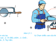 Bài 21. Cưa và đục kim loại – Công nghệ 8: Hãy nêu kỹ thuật cơ bản khi đục kim loại ? 