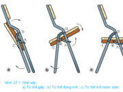 Bài 27. Mối ghép động – Công nghệ 8: Có mấy loại khớp động thường gặp ? Tìm ví dụ mỗi loại ?