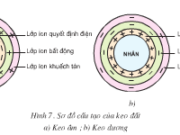 Bài 7. Một số tính chất của đất trồng_ Công nghệ 10: Thế nào là khả năng hấp phụ của đất?