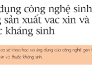 Bài 38. Ứng dụng công nghệ sinh học trong sản xuất vacxin và thuốc kháng sinh – Công nghệ 10.