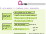 Ôn tập trồng cây ăn quả – Công nghệ lớp 9 : Hãy nêu tác dụng của cây ăn quả đối với môi trường và cảnh quan thiên nhiên ? 