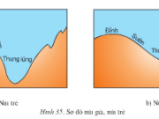 Bài 13. Địa hình bề mặt Trái Đất – Địa lớp 6: Hãy trình bày sự phân loại núi theo độ cao.