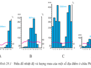 Bài 28. Thực hành: Phân tích lược đồ phân bố các môi trường tự nhiên, biểu đồ nhiệt độ và lượng mưa ở châu Phi