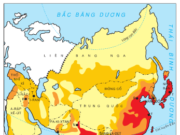 Bài 6. Thực hành: Đọc, phân tích lược đồ phân bố dân cư và các thành phố lớn của châu Á – Địa lí 8:  Làm việc với hình 6.1 (SGK trang 20)