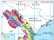 Bài 42. Miền Tây Bắc và Bắc Trung Bộ – Địa lí 8: Hãy nêu giá trị tổng hợp của hồ Hòa Bình.