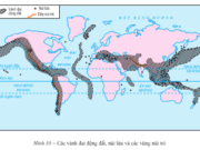 Bài 10. Thực hành: Nhận xét về sự phân bố các vành đai ruộng đất, núi lửa và các vùng núi trẻ trên bản đồ – Địa lí 10.