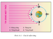 Bài 16. Sóng. Thủy triều. Dòng biển – Địa lí 10: Hãy cho biết nguyên nhân tạo thành sóng biển, sóng thần