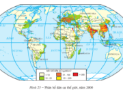 Bài 25. Thực hành: Phân tích bản đồ phân bố dân cư thế giới – Địa lí 10: Hãy xác định các khu vực thưa dân và các khu vực tập trung dân cư đông đúc?