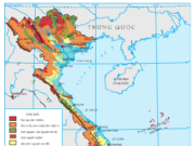 Bài 7. Đất nước nhiều đồi núi (tiếp theo) – Địa lí lớp 12: Dựa vào hình 6, nêu nhận xét về đặc điểm của đồng bằng ven biển miền Trung.