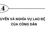 Bài 14. Quyền và nghĩa vụ lao động của công dân – GDCD lớp 9 : Chị Ba có thể tự ý thôi việc được không ?