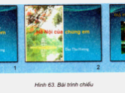 Bài 9. Màu sắc trên trang chiếu – Tin học 9: Có thể đặt màu nền khác nhau cho các trang chiếu trong một bài trình chiếu được không và bằng cách nào