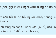 Soạn bài Luyện từ và câu: Câu hỏi và dấu chấm hỏi – Tuần 13 –  Những dấu hiệu nào giúp em nhận ra đó là câu hỏi ?