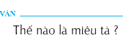 Soạn bài Tập làm văn: Thể nào là miêu tả? – Qua những nét miêu tả trên, em thấy tác giả đã quan sát sự vật bằng những giác quan nào ?