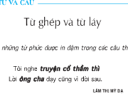 Soạn bài Luyện từ và câu: Từ ghép và từ láy – Tuần 4 – Cấu tạo của những từ phức được in đậm trong các câu thơ sau có gì khác nhau ?