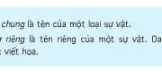 Soạn bài Luyện từ và câu: Danh từ chung và danh từ riêng – Tuần 6 – Nghĩa của các từ tìm được ở bài tập 1 khác nhau như thế nào ?