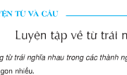 Soạn bài Luyện từ và câu: Luyện tập về từ trái nghĩa – trang 43, Tiếng Việt 5 tập 1 – Học sinh tự đặt câu