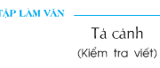 Soạn bài Tập làm văn: Tả cảnh (kiểm tra viết) – Ngôi nhà tôi đang ở tuy nhỏ nhưng nói làm sao xiết được lòng yêu thương của tôi dành cho nơi này,