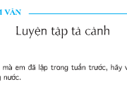 Soạn bài Tập làm văn: Luyện tập tả cảnh – Trang 74 – Cảm nghĩ của em về dòng sông quê hương.