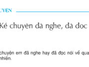 Soạn bài Kể chuyện: Kể chuyện đã nghe, đã đọc – Tuần 8 – Học sinh tự tìm câu chuyện bên ngoài sách giáo khoa.