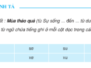 Soạn bài Chính tả: Mùa thảo quả – Nghĩa của các từ đơn ở dòng thứ nhất (sóc, sói, sẻ, sáo, sít, sên, sam, sò, sứa, sán…) đều chỉ tên các con vật.